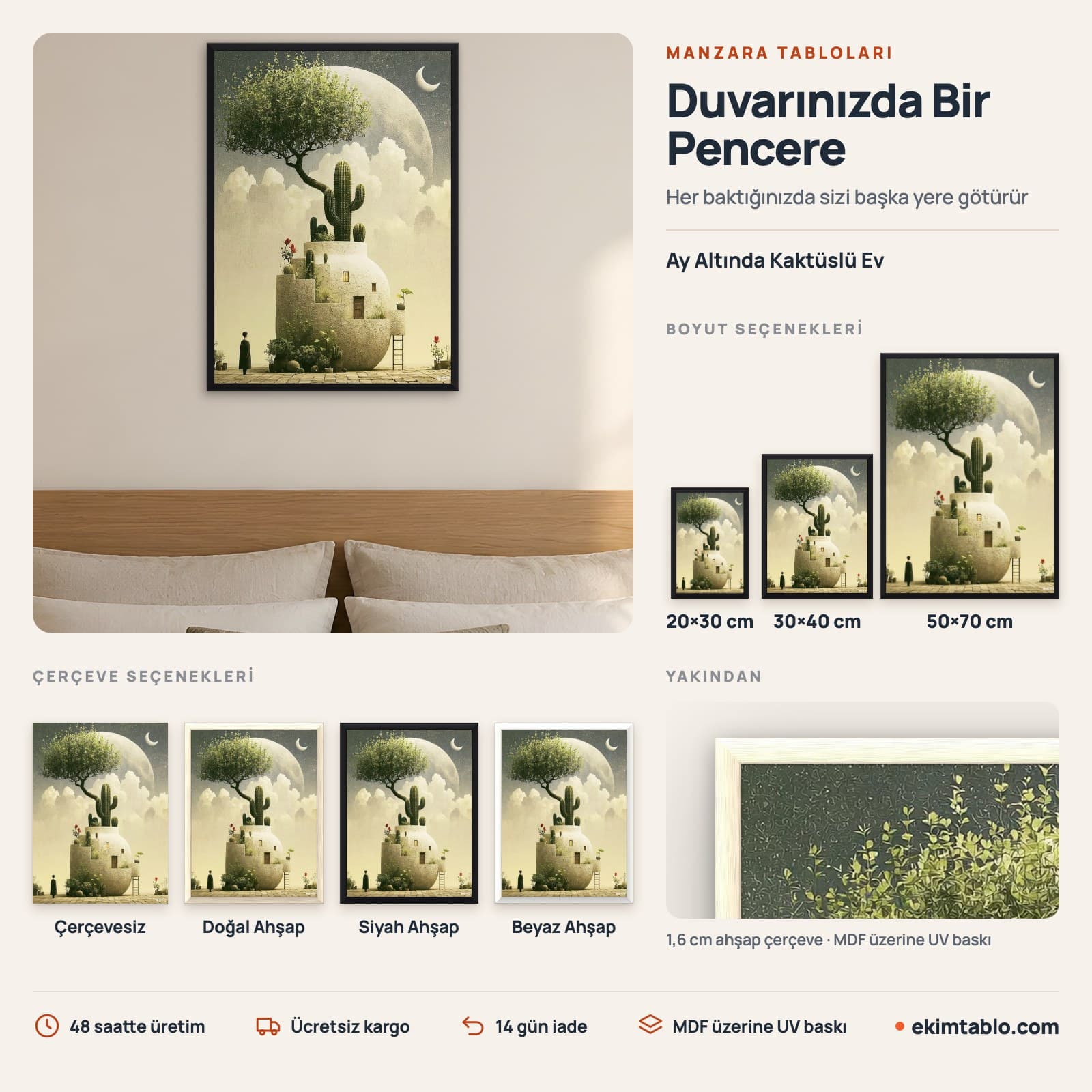 Ay Altında Kaktüslü Ev — boyut ve çerçeve seçenekleri