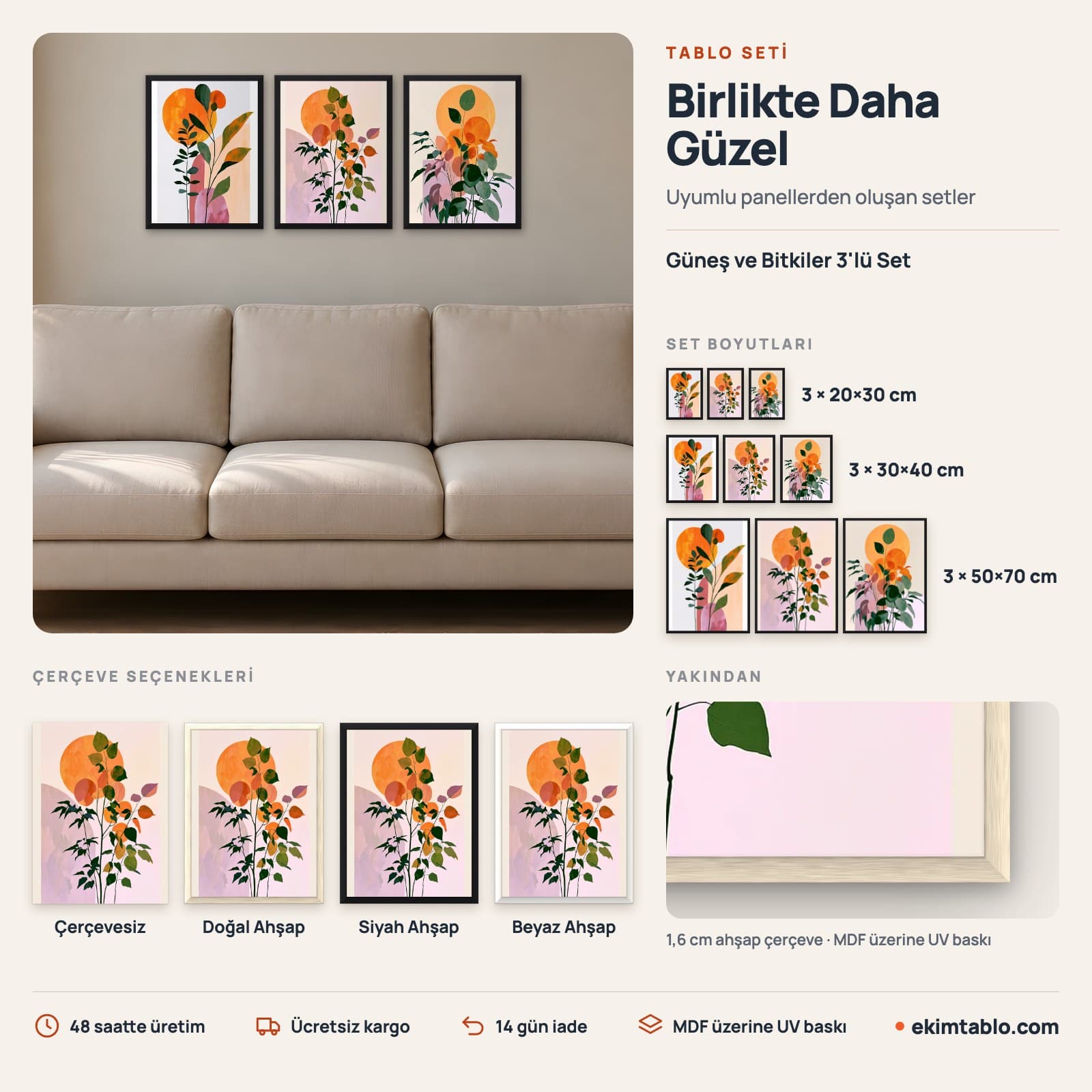 Güneş ve Bitkiler 3'lü Set — boyut ve çerçeve seçenekleri