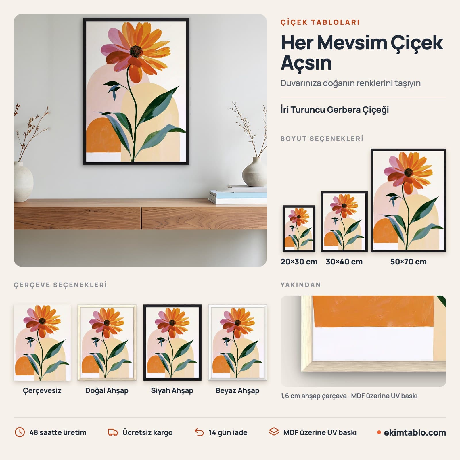 İri Turuncu Gerbera Çiçeği — boyut ve çerçeve seçenekleri