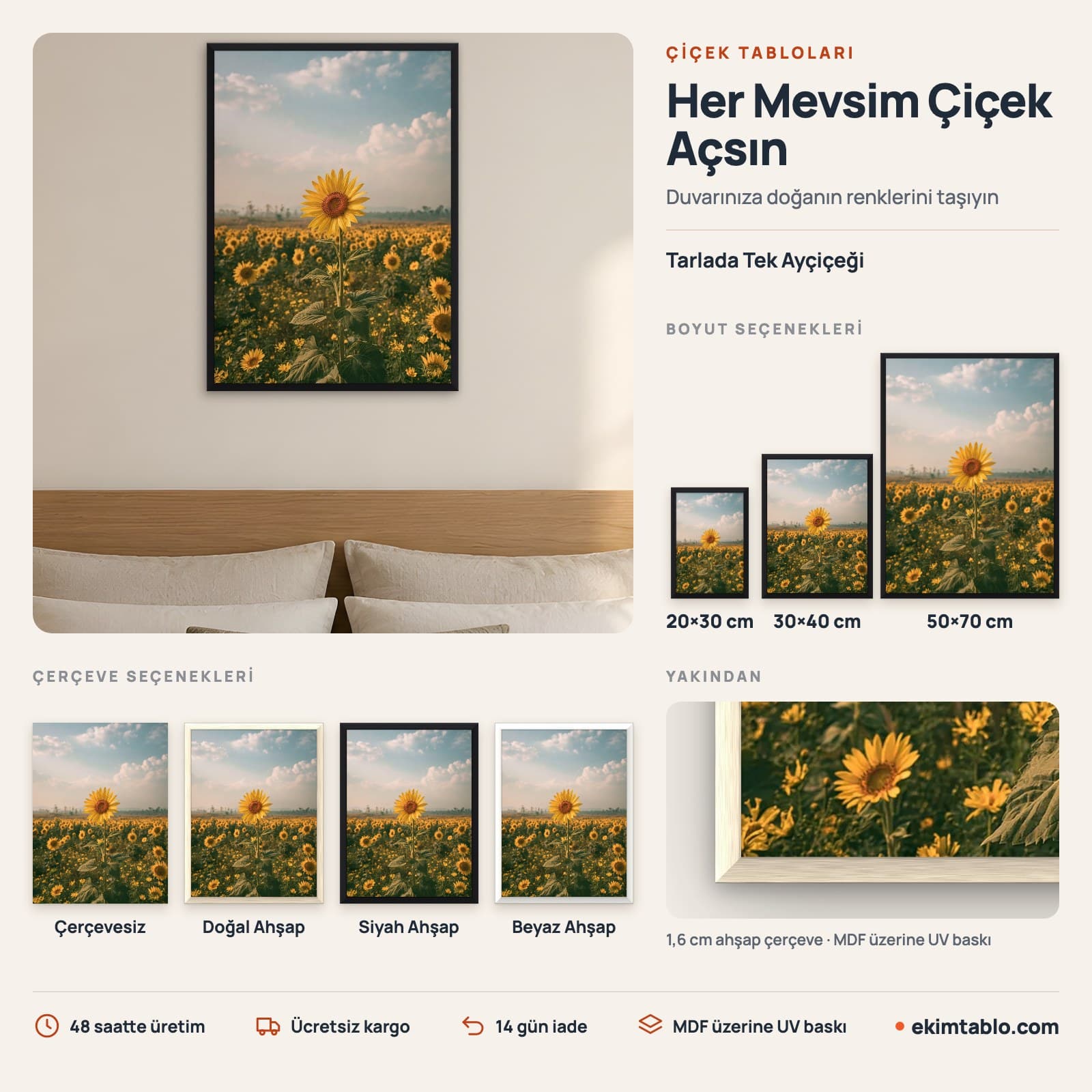 Tarlada Tek Ayçiçeği — boyut ve çerçeve seçenekleri