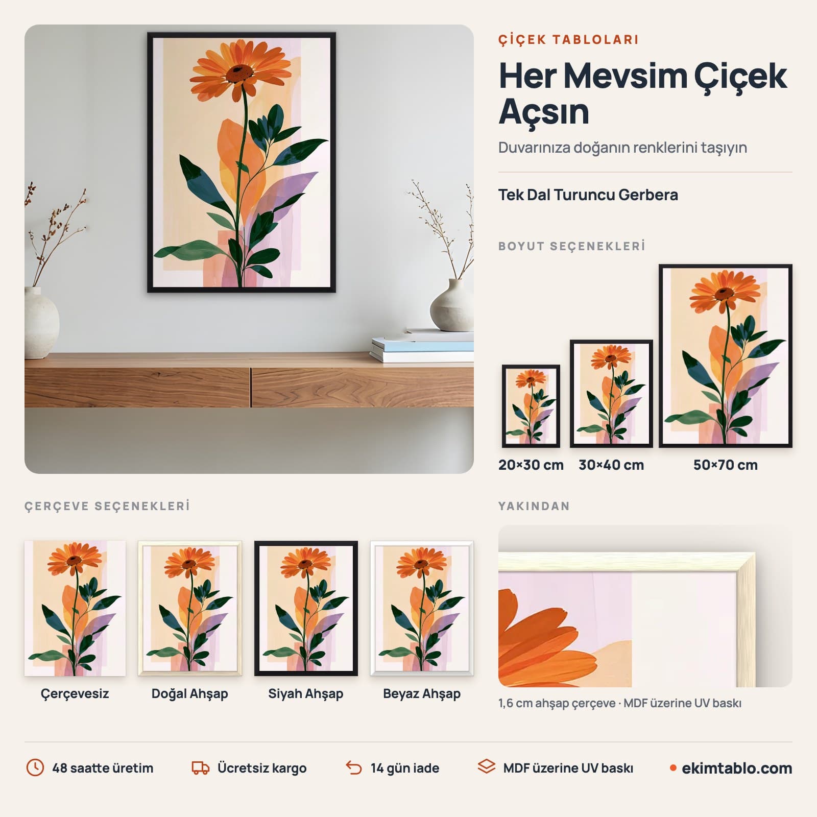 Tek Dal Turuncu Gerbera — boyut ve çerçeve seçenekleri